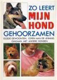 Zo leert mijn hond gehoorzamen