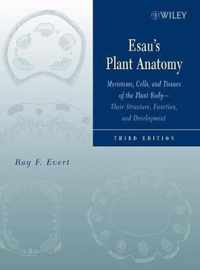 Esau's Plant Anatomy