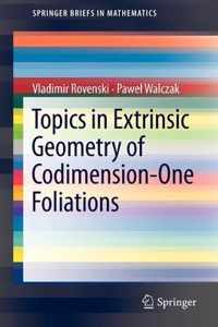 Topics in Extrinsic Geometry of Codimension One Foliations