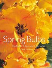 Spring Bulbs