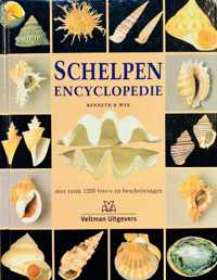 Schelpen Encyclopedie