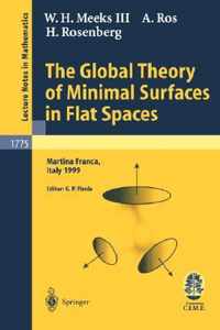 The Global Theory of Minimal Surfaces in Flat Spaces