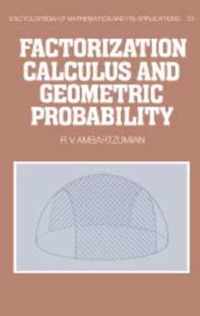 Factorization Calculus and Geometric Probability