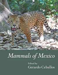 Mammals Of Mexico