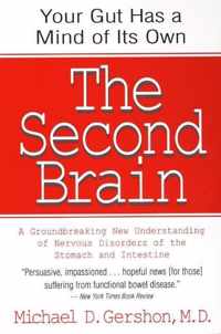 The Second Brain