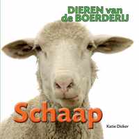 Dieren van de boerderij  -   Schaap