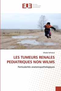Les Tumeurs Renales Pediatriques Non Wilms