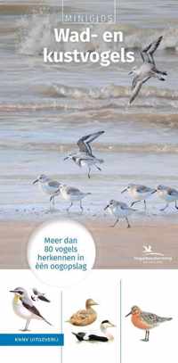 Minigids  -   Set Minigids Wad- en kustvogels