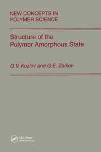 Structure of the Polymer Amorphous State