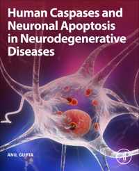 Human Caspases and Neuronal Apoptosis in Neurodegenerative Diseases