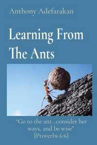 Learning From The Ants: Go to the ant...consider her ways, and be wise [Proverbs 6