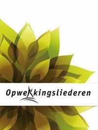 Opwekking grootletter A4 tekst 1-819