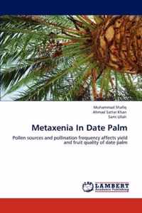 Metaxenia In Date Palm