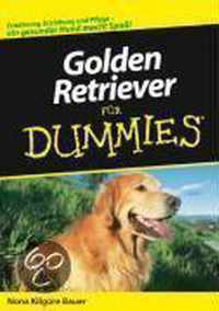 Golden Retriever Fur Dummies