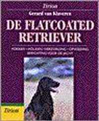 Flatcoated Retriever