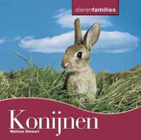 Dierenfamilies  -   Konijnen