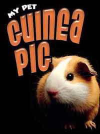 Guinea Pig