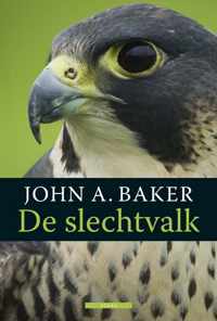 Vogelboeken - De slechtvalk