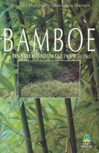 BAMBOE