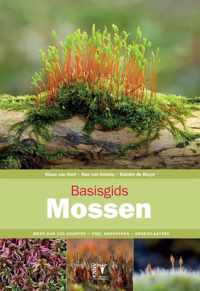 Basisgids 3 -   Basisgids mossen