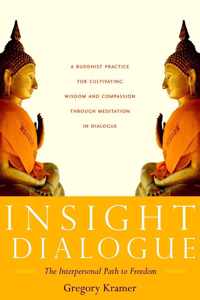 Insight Dialogue