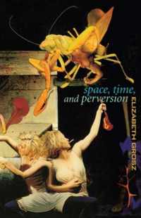 Space Time & Perversion