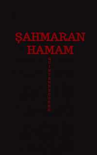 ahmaran Hamam - Quinten de Coene - Paperback (9789464351040)