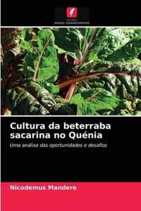 Cultura da beterraba sacarina no Quenia