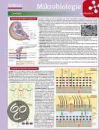 Mikrobiologie Im Berblick