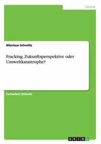 Fracking. Zukunftsperspektive oder Umweltkatastrophe?