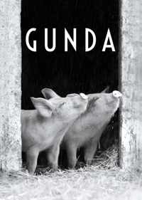 Gunda