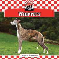 Whippets