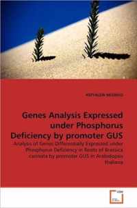 Genes Analysis Expressed under Phosphorus Deficiency by promoter GUS