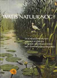 Wat is natuur nog?