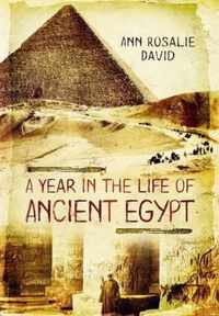 Year in the Life of Ancient Egypt