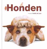 Honden