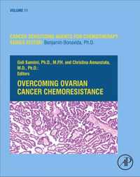 Overcoming Ovarian Cancer Chemoresistance