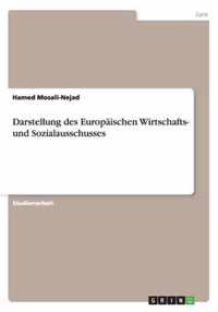 Darstellung des Europaischen Wirtschafts- und Sozialausschusses