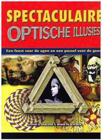spectaculaire optische illusies