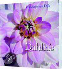 Dahlia'S
