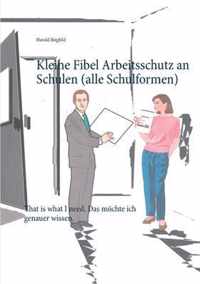 Kleine Fibel Arbeitsschutz an Schulen (alle Schulformen)