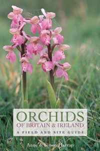 Orchids Of Britain And Ireland