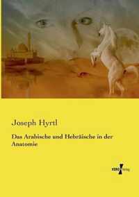 Das Arabische und Hebraische in der Anatomie