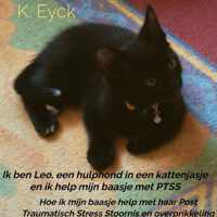 Ik ben Leo, een hulphond in een kattenjasje en ik help mijn baasje met PTSS - K. Eyck - Paperback (9789403626925)