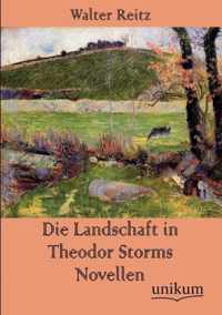 Die Landschaft in Theodor Storms Novellen