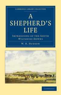 A Shepherd's Life