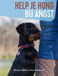 Help je hond bij angst