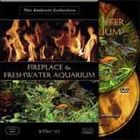Fireplace & Freshwater Aquarium