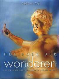 Het boek der wonderen