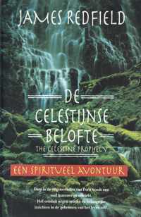 Celestijnse belofte (geb)